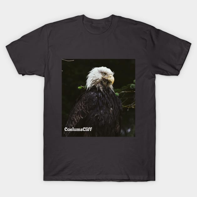 Eagle T-Shirt by Oregon Art Shop